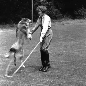 Skipping Dog