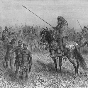 Slave Gang Of Central Africa Slave Gang Of Central Africa