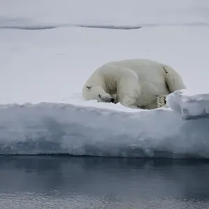 Sommeil Au Bord Sommeil Au Bord