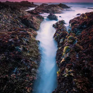 the slow flow glow show