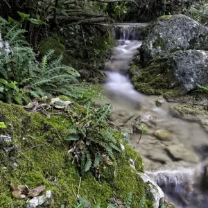Small mountain torrende between waterfalls Small mountain torrende between waterfalls
