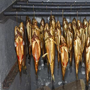 Smoked trout hanging in a smokehouse, Fuschl, Austria, Europe