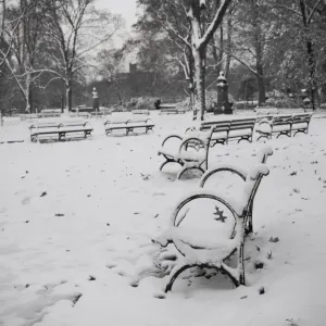 Snow-Covered Benches in Prospect Park Print Snow-Covered Benches in Prospect Park Print