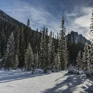 Snow on the rugged Canadian Rocky Mountains and trees, Yoho National Park