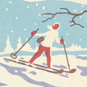 Snow skier