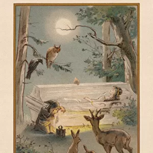 Snow White (Schneewittchen), by Brothers Grimm, chromolithograph, published 1898