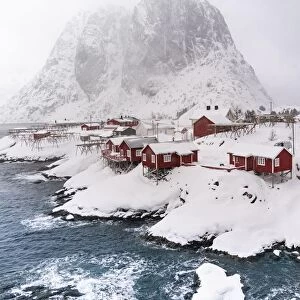 Snowstorm, red stilt houses, Hamnoy, drone shot, Lofoten, Norway