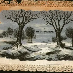 Snowy Scene Snowy Scene
