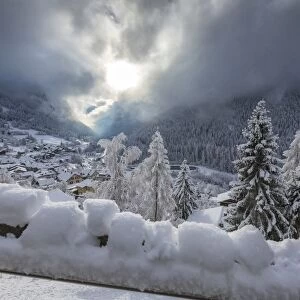 Snowy woods Filisur Switzerland