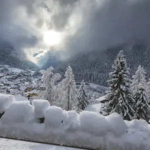 Snowy Woods Filisur Switzerland Print Snowy Woods Filisur Switzerland Print