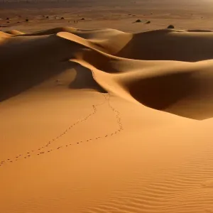 Soft evening light on Sahara sand dunes Soft evening light on Sahara sand dunes