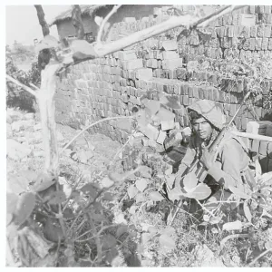 Images Dated 1971 December: 14 Dec 1971