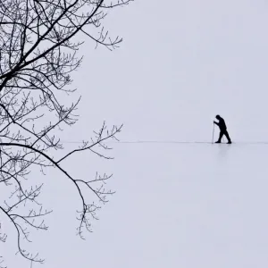 Einzelgänger im Schnee Einzelgänger im Schnee