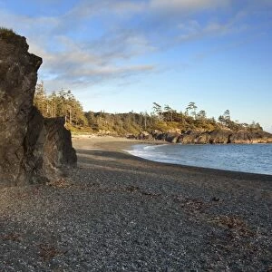South Beach In Pacific Rim National Park Near Tofino; British Columbia Canada
