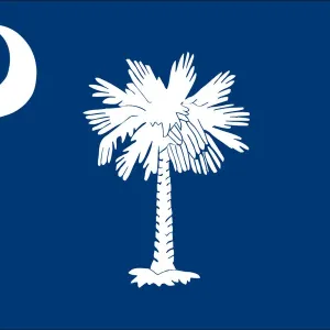 South Carolina flag South Carolina flag