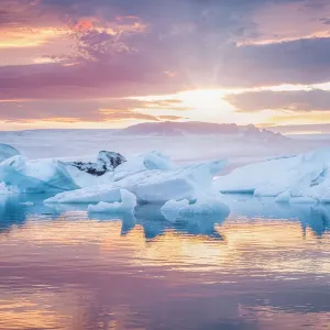South Iceland, Jokulsarlon, Ice on the lagoon reflecting the colours of sunset South Iceland, Jokulsarlon, Ice on the lagoon reflecting the colours of sunset