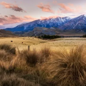 South, New Zealand in Autumn Season South, New Zealand in Autumn Season
