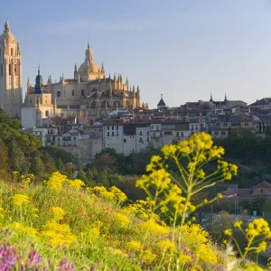 Spain, Segovia, Segovia Cathedral, field in foreground