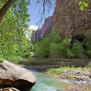 The Spectacular Landscape of the Narrows in Zion National Park The Spectacular Landscape of the Narrows in Zion National Park