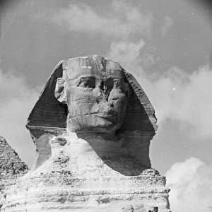 Sphinx At Giza