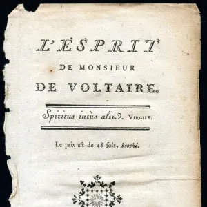 The spirit of Mr De VOLTAIRE (XXXL)