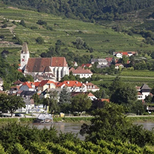 Spitz, view overlooking vineyards in Oberarnsdorf, Danube, Wachau, Waldviertel, Mostviertel, Lower Austria, Austria, Europe