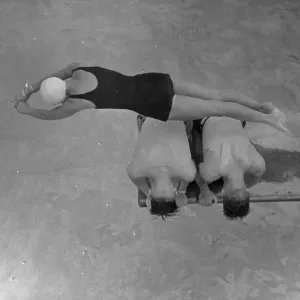Plongeon de tremplin d'été Plongeon de tremplin d'été