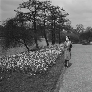 Spring In The Park Spring In The Park