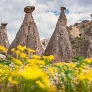 Springtime in Cappadocia, Turkey. Wild flowers and fairy chimneys Springtime in Cappadocia, Turkey. Wild flowers and fairy chimneys