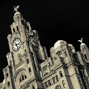 Square crop of the Royal Liver Building Square crop of the Royal Liver Building
