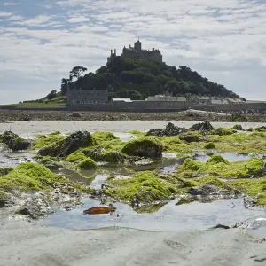 St Michaels Mount Print - Cornwall Coast Scene St Michaels Mount Print - Cornwall Coast Scene