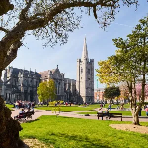 St. Patrick's Park Print with Dublin Cathedral Spire St. Patrick's Park Print with Dublin Cathedral Spire