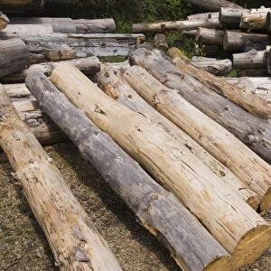 Stack of Eastern white pine tree logs, Laurentians, Quebec, Canada