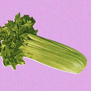 Stalk of Celery