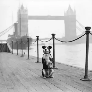 Tower Bridge London