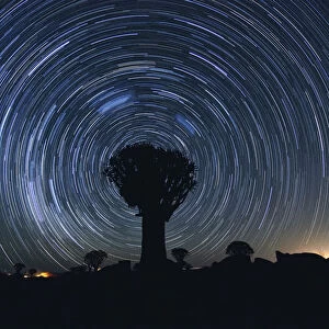 Star Trails over the Quiver Tree Forest in Keetmanshoop, Namibia