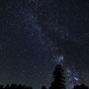 Starry Sky Print over a Forest in Flums, Switzerland Starry Sky Print over a Forest in Flums, Switzerland