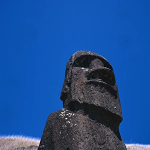 Statues of Moai in Easter Island