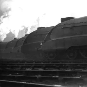 Steam Locomotives Steam Locomotives