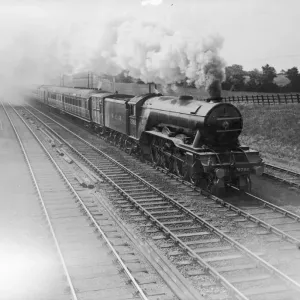 Steam Train Steam Train