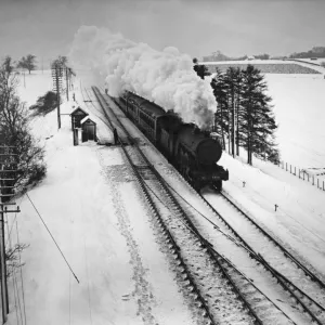 Steam Train In Snow