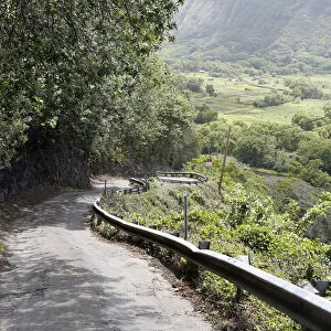 Steep mountain road with a 25% slope, Waipio Valley, Big Island, Hawaii, USA