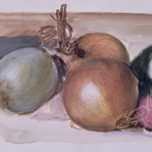 Still-Life - Study Of Onions Still-Life - Study Of Onions
