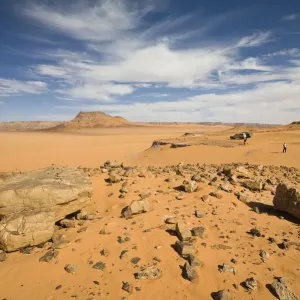 Libyan Desert Stone Landscape Print Libyan Desert Stone Landscape Print