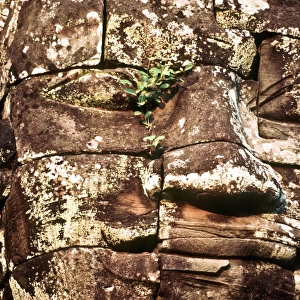 Stone face at Bayon