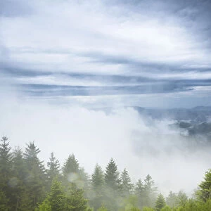 Stormy atmosphere with fog after heavy rain falls on the Schliffkopf mountain, Black Forest, Baden-Wurttemberg, Germany