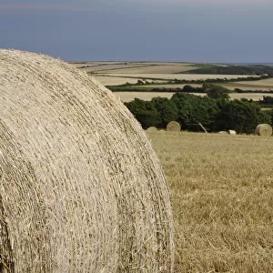 straw bales in a field in east cork in munster region