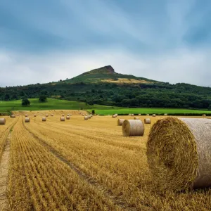 Straw bales and Roseberry Topping