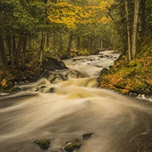 Stream in autumn, Upper Peninsula, Michigan, USA