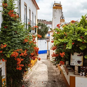 Street a small village, region Centro, Portugal